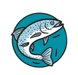 Körschtal Forellen Familie Stocker GmbH - Logo