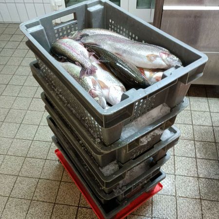 Frischer_Fisch_in_unserem_Hofladen