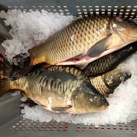 Frischer_Karpfen_in_unserem_Hofladen